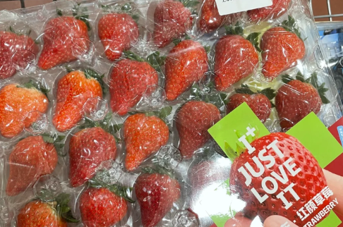 山姆草莓什么时候上市 山姆草莓多少钱2021-小麦知识