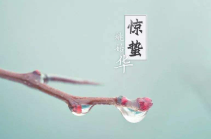今年几号几点惊蛰2023 惊蛰的时候还冷吗2023-小麦知识