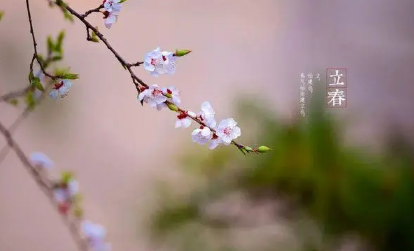 2023年是不是黑春年 2023年是什么年有春吗-小麦知识