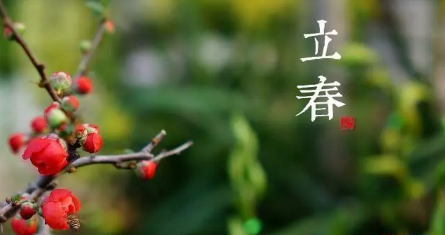 2023年是不是黑春年 2023年是什么年有春吗-小麦知识