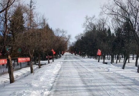 2023年哈尔滨1月份会下雪吗 2023年哈尔滨1月份天气怎么样-小麦知识