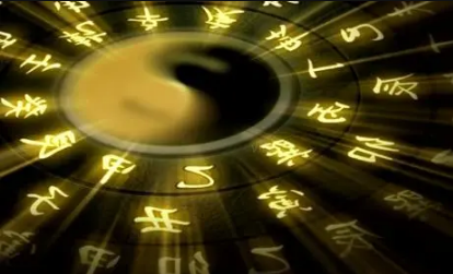 2023年为什么是黑兔年 2023黑兔年会发生什么事情-小麦知识