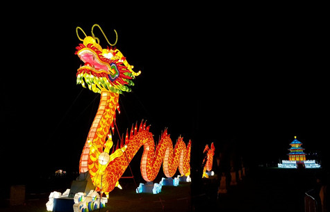 2023兔好还是2024龙好 2024龙是百年难遇吗-小麦知识