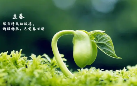 2023立春之后还要冷多久才能到春天 立春之后气温会不会回升-小麦知识