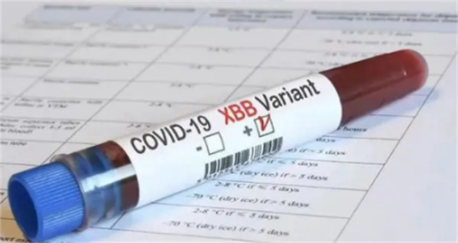 XBB.1.5是否会攻击人的肠道 XBB.1.5毒株会攻击肠道吗-小麦知识