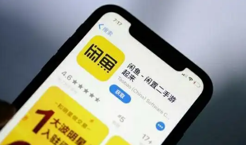闲鱼一声不吭直接拍的买家是真的吗 闲鱼一声不吭直接拍的买家会不会后面退货-小麦知识