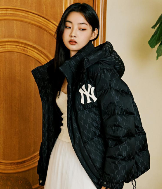 一件白鹅绒的羽绒服什么价位 鹅绒羽绒服多少钱是真的-小麦知识