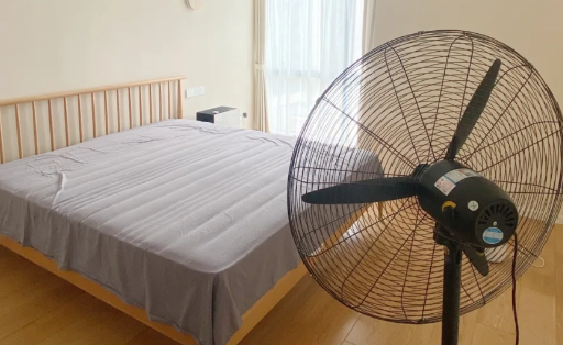 三伏天除甲醛关窗还是开窗 房子晾一个三伏天可以入住吗-小麦知识