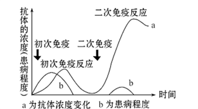 为什么注射疫苗还感染 为什么注射疫苗后还会感染新冠病毒-小麦知识