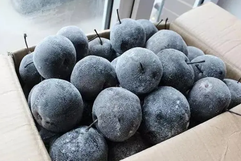 冻梨能邮寄吗 快递邮冻梨怎么能不化-小麦知识