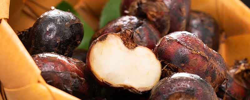 荸荠是水果还是蔬菜 荸荠吃的是什么部位-小麦知识