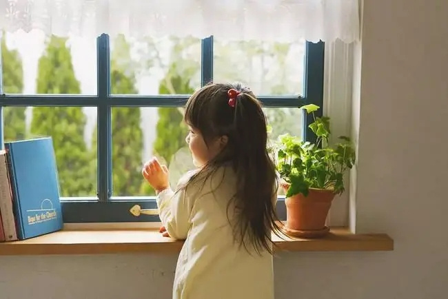 房间味道难闻怎么处理 怎样消除房间异味-小麦知识