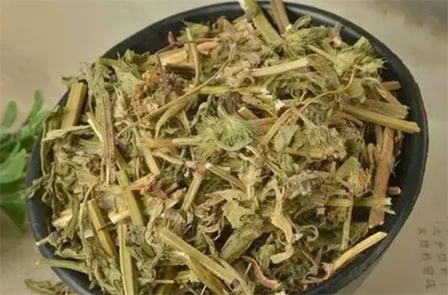 益母草和谁一起吃效果更好 益母草和什么一起吃有调经效果-小麦知识
