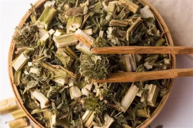 女生经期喝益母草会怎么样 女生经期喝益母草好不好-小麦知识