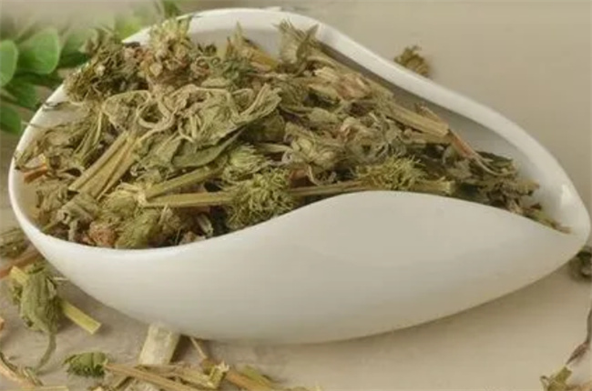 女生经期喝益母草会怎么样 女生经期喝益母草好不好-小麦知识