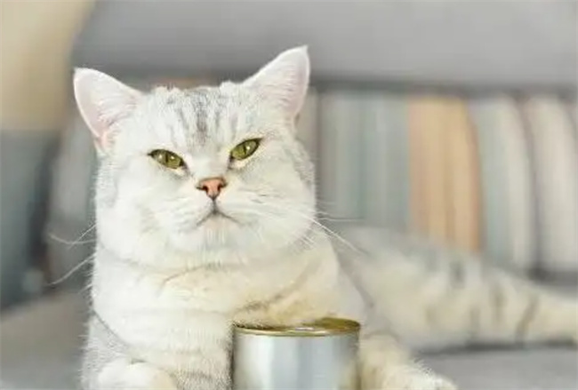 猫罐头能放微波炉里加热吗 猫罐头可以微波炉热吗-小麦知识