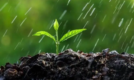 2023年芒种过后雨水会变多吗 芒种过后天气怎么样-小麦知识