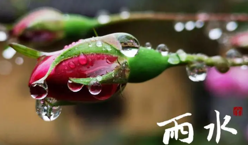 2023年芒种过后雨水会变多吗 芒种过后天气怎么样-小麦知识