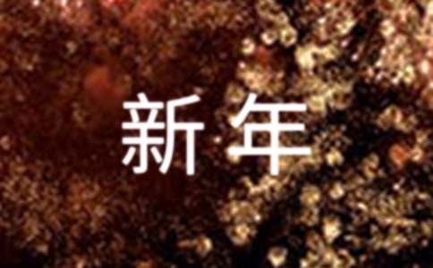我的新年的作文300字-小麦知识