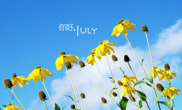 2023年7月有什么节日和纪念日 2023年7月有什么节气-小麦知识