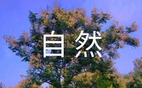 美丽的大自然作文300字-小麦知识