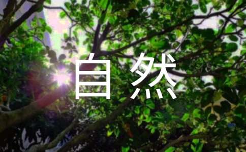 亲近大自然作文-小麦知识