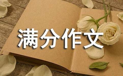 态度决定一切细节决定成败满分作文-小麦知识