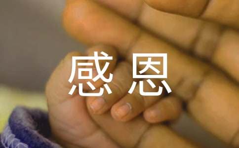 感恩因为有你作文-小麦知识