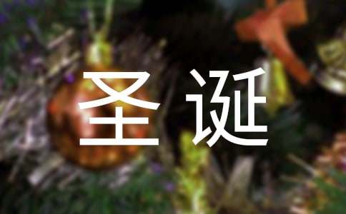 圣诞节英语日记-小麦知识