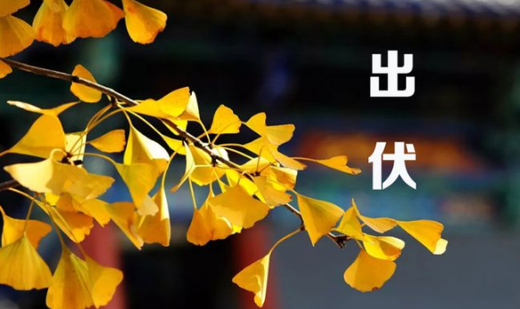 2023年出伏是几月几号哪一天 2023年出伏时间表-小麦知识