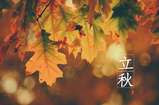 2023年8月几号立秋 2023年立秋是八月7号还是8号-小麦知识