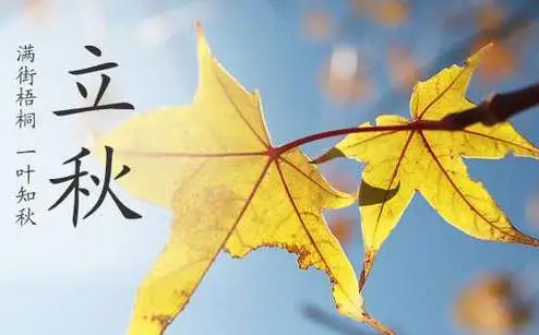 2023年8月几号立秋 2023年立秋是八月7号还是8号-小麦知识