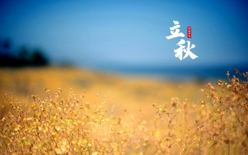 2023年8月几号立秋 2023年立秋是八月7号还是8号-小麦知识