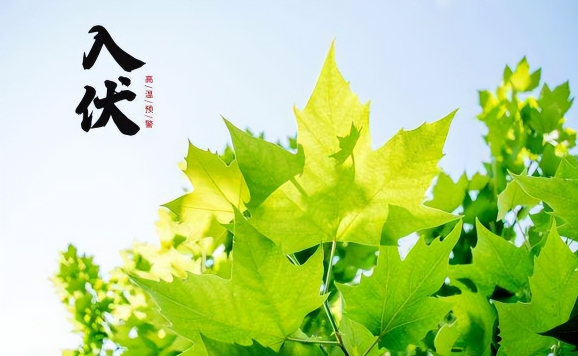 2023年几月几号几点几分入伏 2023年入伏是什么时候哪一天开始-小麦知识