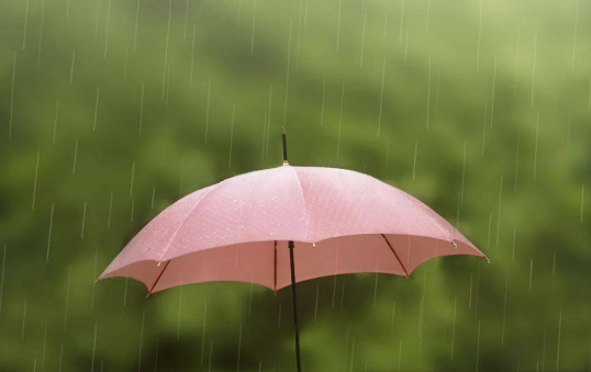 2023年7月雨水多吗 2023年7月雨水大吗-小麦知识
