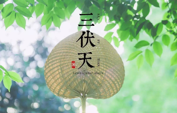2023年三伏天一般在哪两个节气之间 三伏天是哪个节气到哪个节气2023-小麦知识
