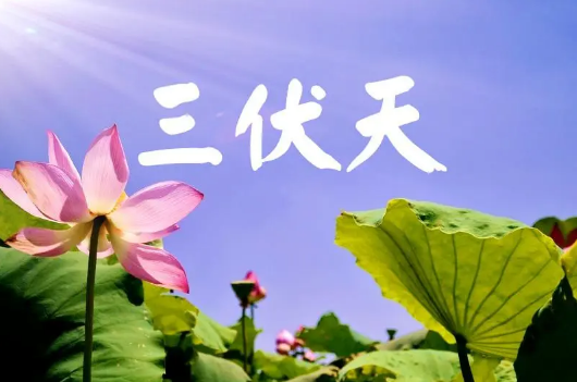 2023年三伏天一般在哪两个节气之间 三伏天是哪个节气到哪个节气2023-小麦知识
