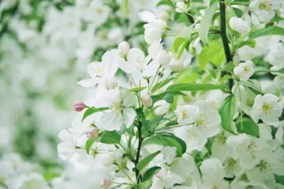 2023年6月有哪些节日和纪念日 2023年6月有什么重要日子-小麦知识