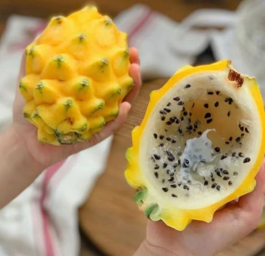 燕窝果要软了才能吃吗 燕窝果怎么吃-小麦知识