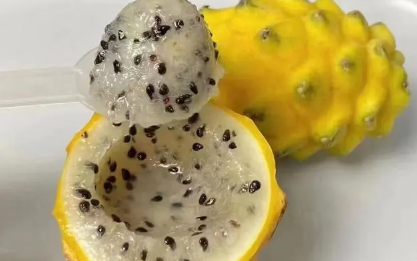 燕窝果是凉性还是热性 燕窝果是火龙果的一种吗-小麦知识