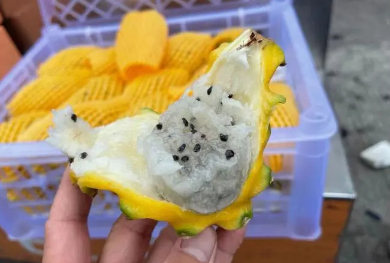 燕窝果是智商果吗 燕窝果什么味道-小麦知识