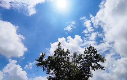 7月份是不是最热的时候 每年最热的时候是几月份-小麦知识