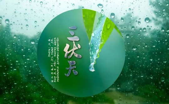 2023年三伏天从什么时候开始 2023年三伏天是从几月开始的-小麦知识