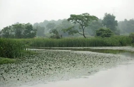 6月份是不是梅雨季节 每年的梅雨一般从几月份开始-小麦知识