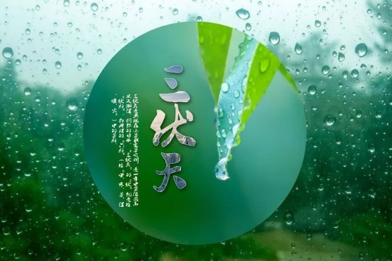 2023年三伏天是30天还是40天 2023年三伏天一共有多少天-小麦知识