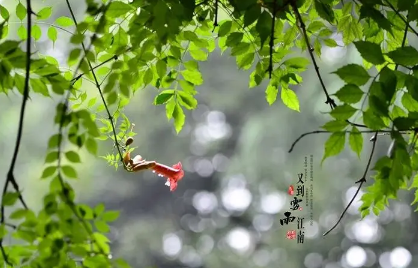 7月份梅雨季节是否结束 梅雨季节是几月份到几月份结束-小麦知识