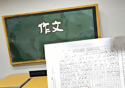 分类-作文-小麦知识